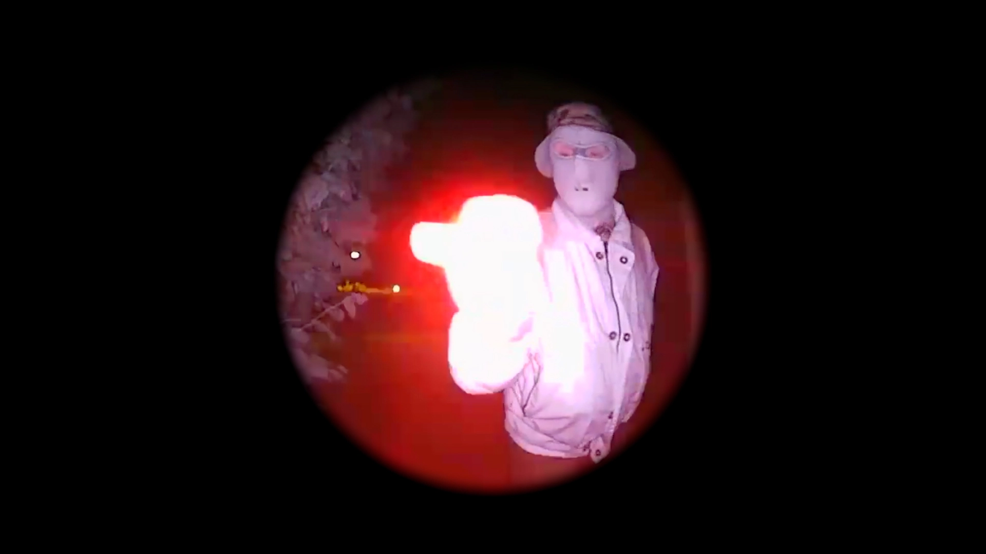 shot 1 from movie Home Invasion by Graeme Arnfield